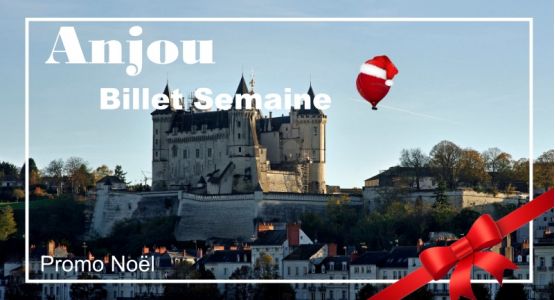 Billet Touraine