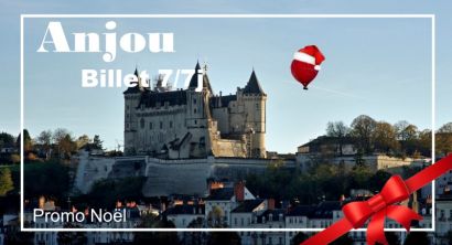 Christmas special Anjou Region ticket 7/7d