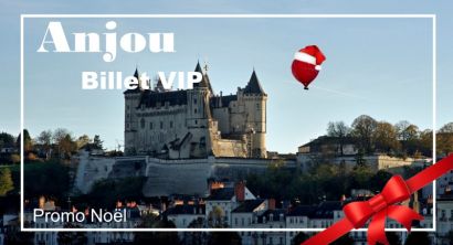 Promotion Christmas Private flight Anjou region Week