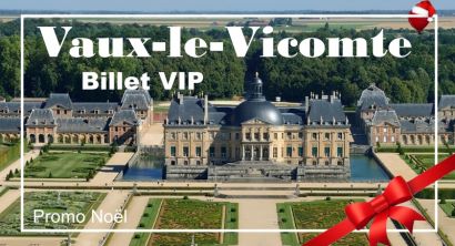 Christmas promotion Private flight Vaux-le-Vicomte region Weekdays