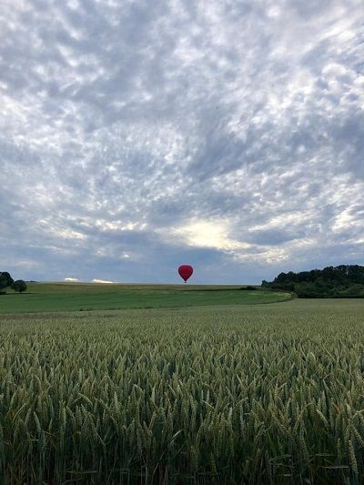 ciel pommelé et épis de blé