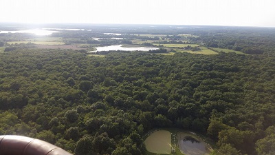 Passage au dessus de forêt de Mézière en Brenne