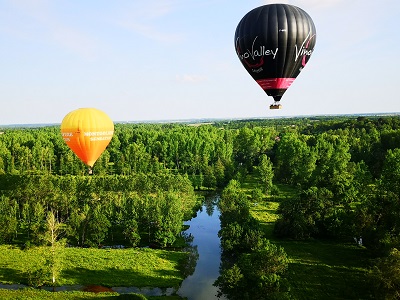 Niort côté verdure au printemps