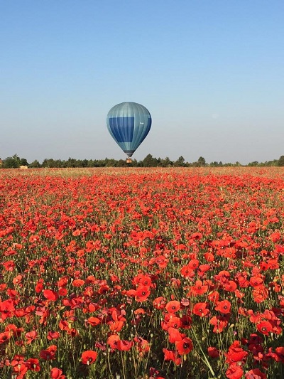 La montgolfière rasant un champ de coquelicots en fleurs