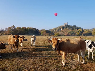 Des spectatrices d'Art Montgolfières au pied de Murol