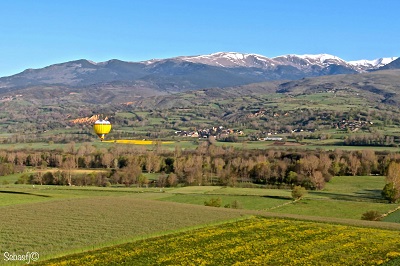 Les colzas en fleurs et les Pyrénées encore enneigées