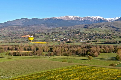 Pyrenees