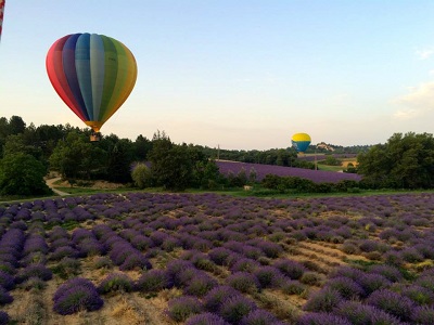 Montgolfières au ras des lavandes sur le plateau de Valensole