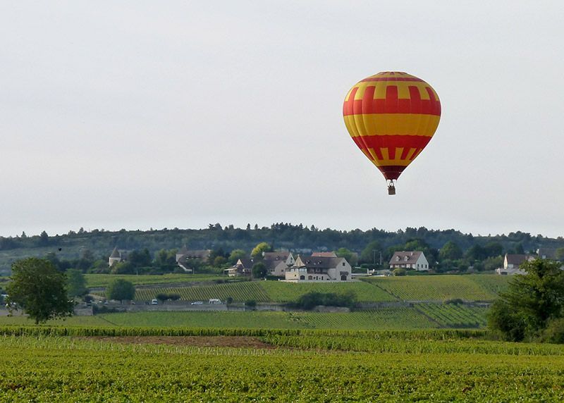 Survol de domaine viticole Beaune Art Montgolfières